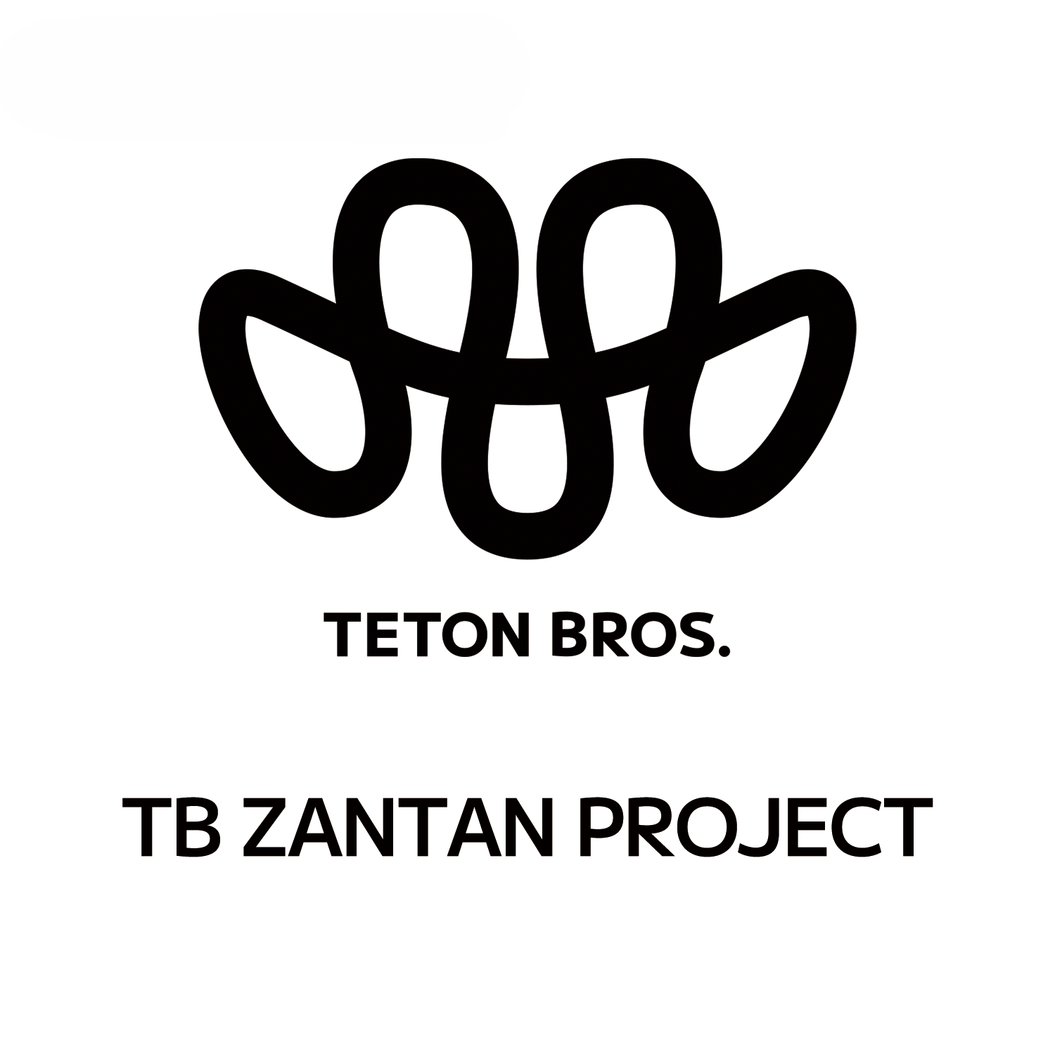 TB ZANTAN PROJECT