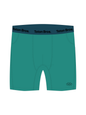 Axio 3D Trunks